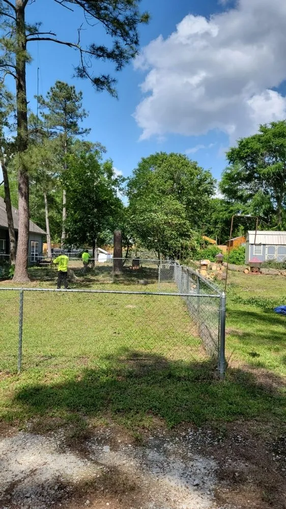 Local yard cleanup service for residential properties in Cleveland, TX by Caudillo's Lawn Tree & More