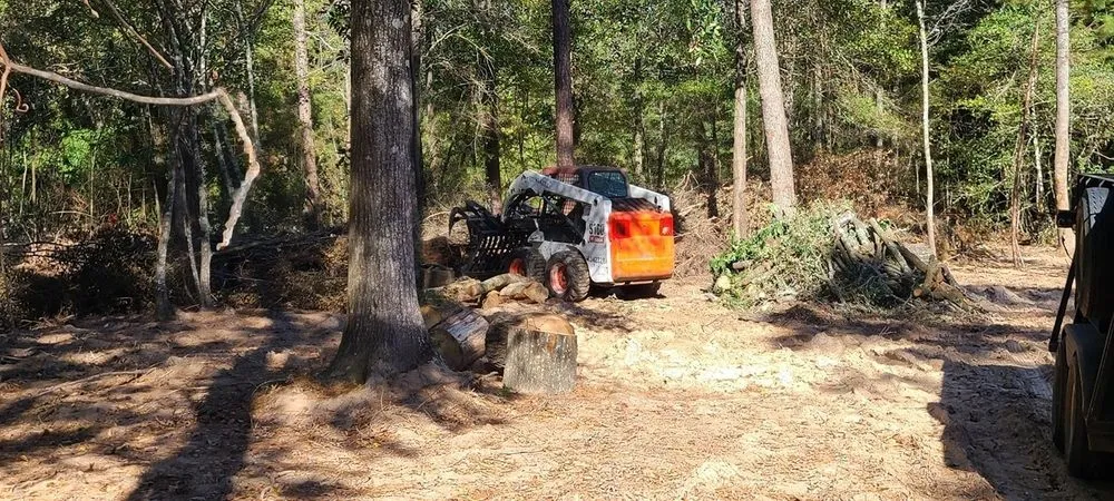 Expert outdoor landscaping for homes in Cleveland, TX by Caudillo's Lawn Tree & More