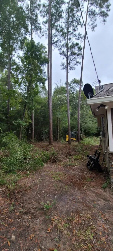 Trusted lawn care service experts serving Cleveland, TX - Caudillo's Lawn Tree & More