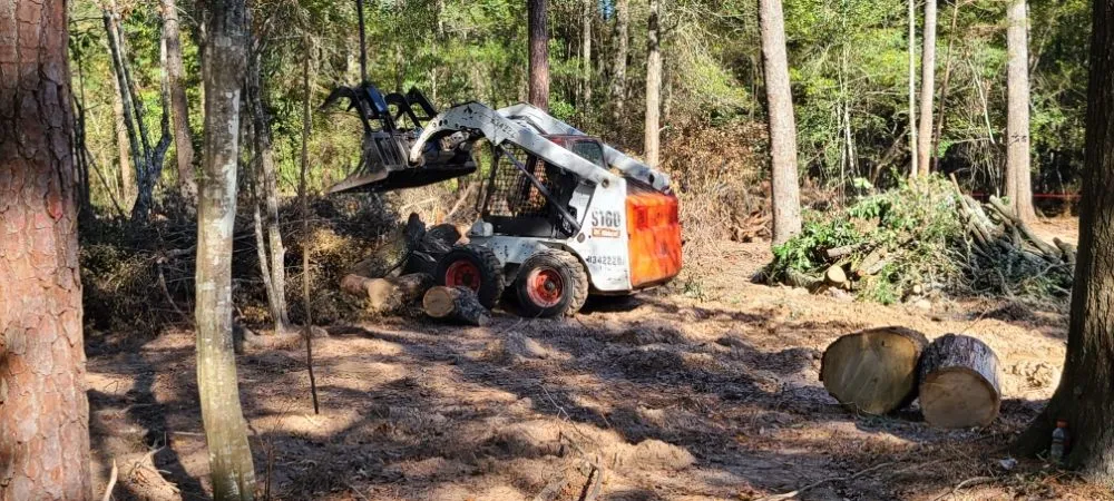 Reliable yard maintenance experts serving Cleveland, TX - Caudillo's Lawn Tree & More