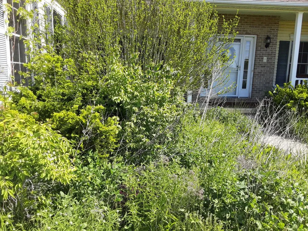 Trusted landscaping services in Midway, OH - Caudill's & Son's