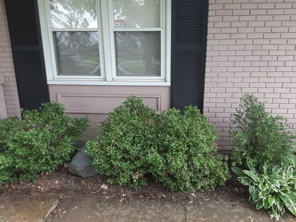 Local yard cleanup service in Midway, OH by Caudill's & Son's