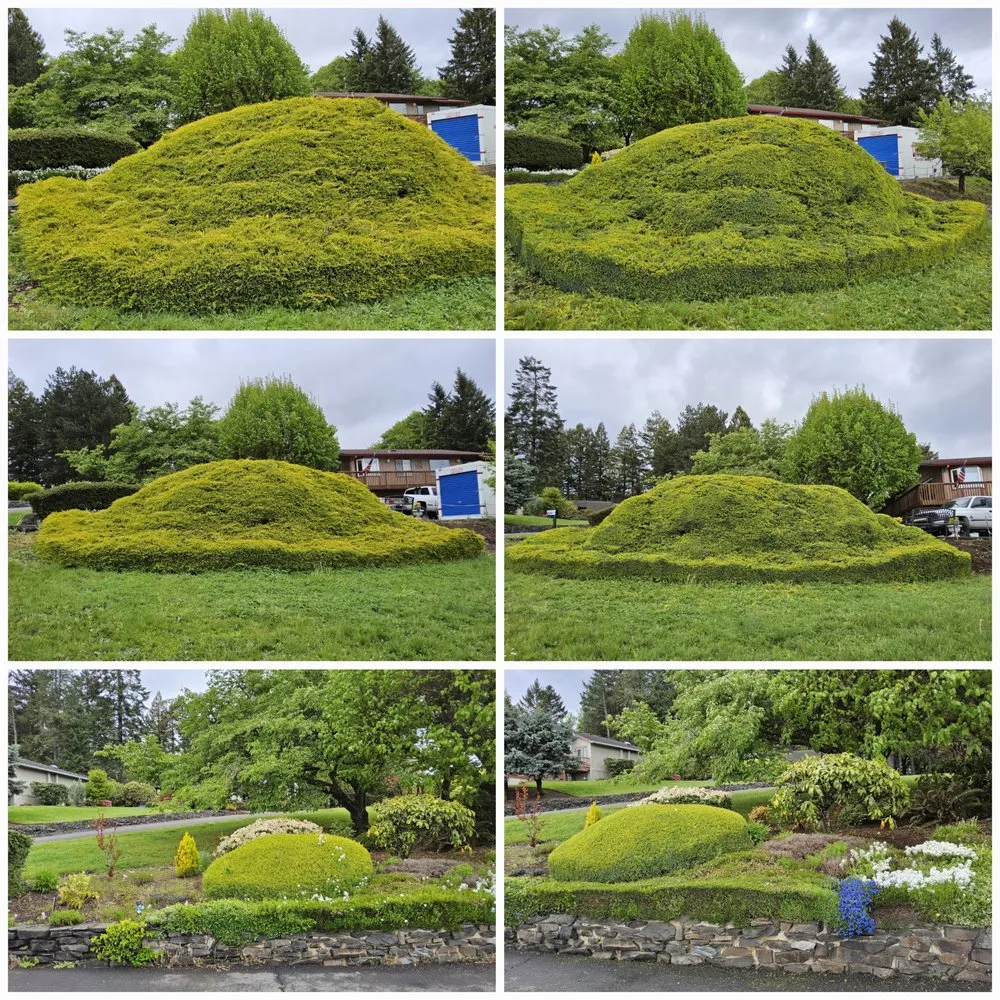 Trusted landscape design in St. Helens, OR by Causey's Landscapes