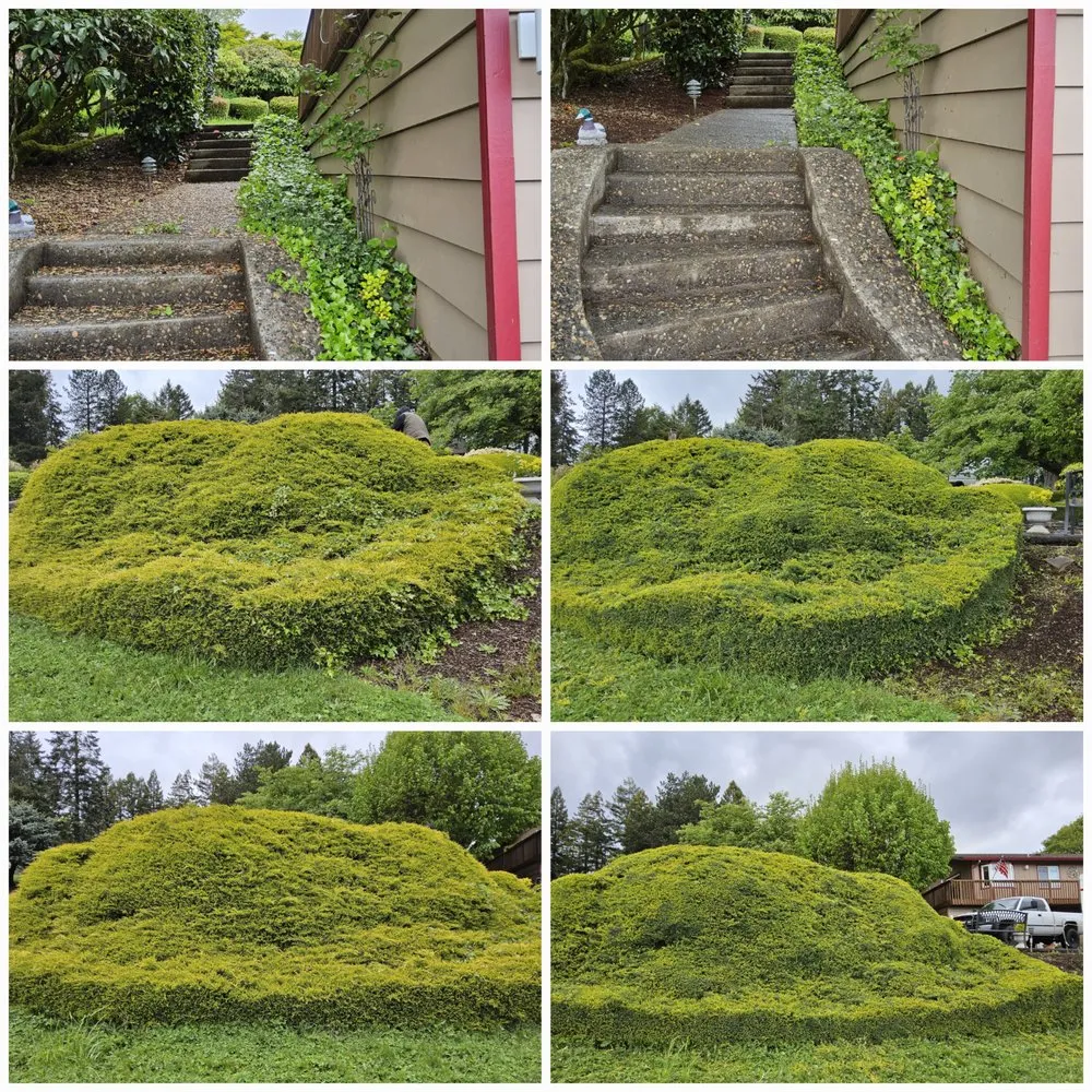 Local landscape design experts serving St. Helens, OR - Causey's Landscapes