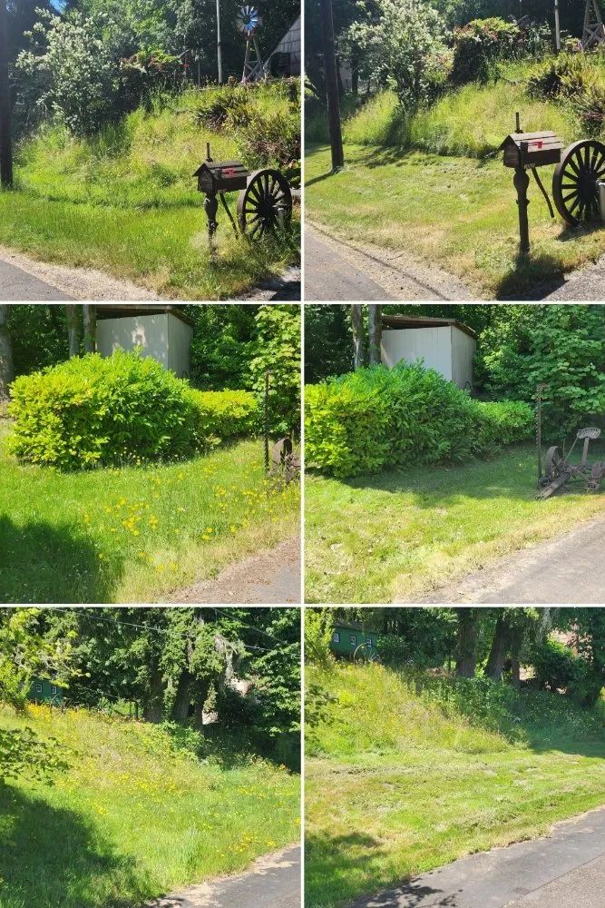 Top-rated yard maintenance experts serving St. Helens, OR - Causey's Landscapes