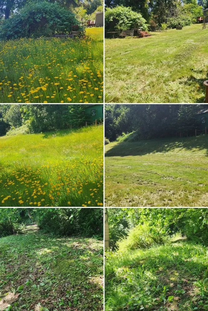 Trusted landscape design in St. Helens, OR - Causey's Landscapes