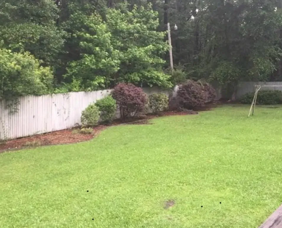 Custom yard maintenance for outdoor upgrades across Beaufort, SC - Causey's Lawn Care & Irrigation