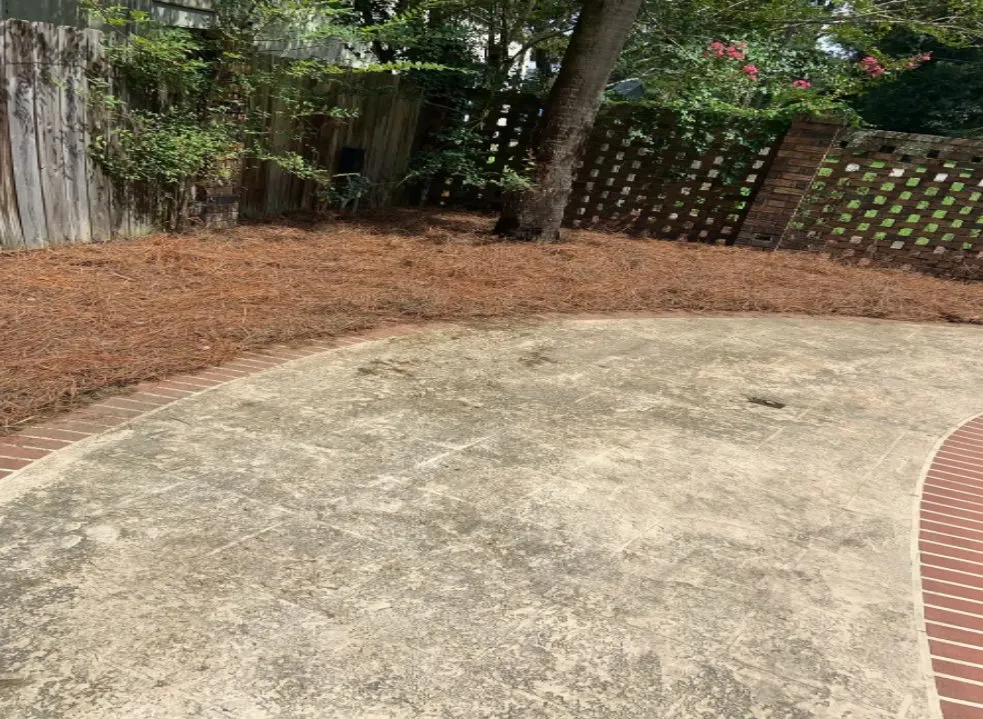 Custom lawn care service for homes in Beaufort, SC by Causey's Lawn Care & Irrigation