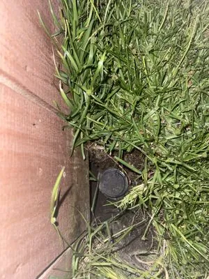 Causey's Lawn Care & Irrigation Logo