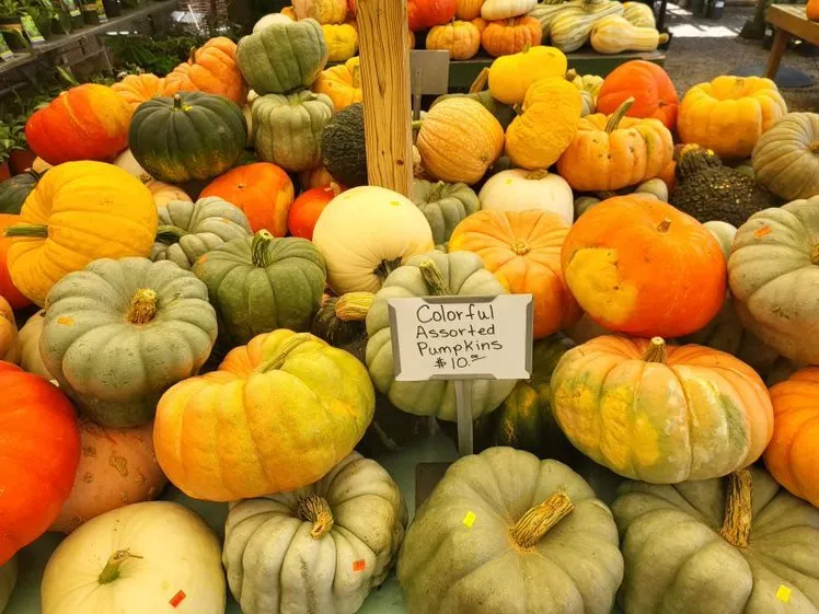 Expert landscape installation for year-round maintenance across Pittsburgh, PA - Cavacini Landscaping & Garden Center