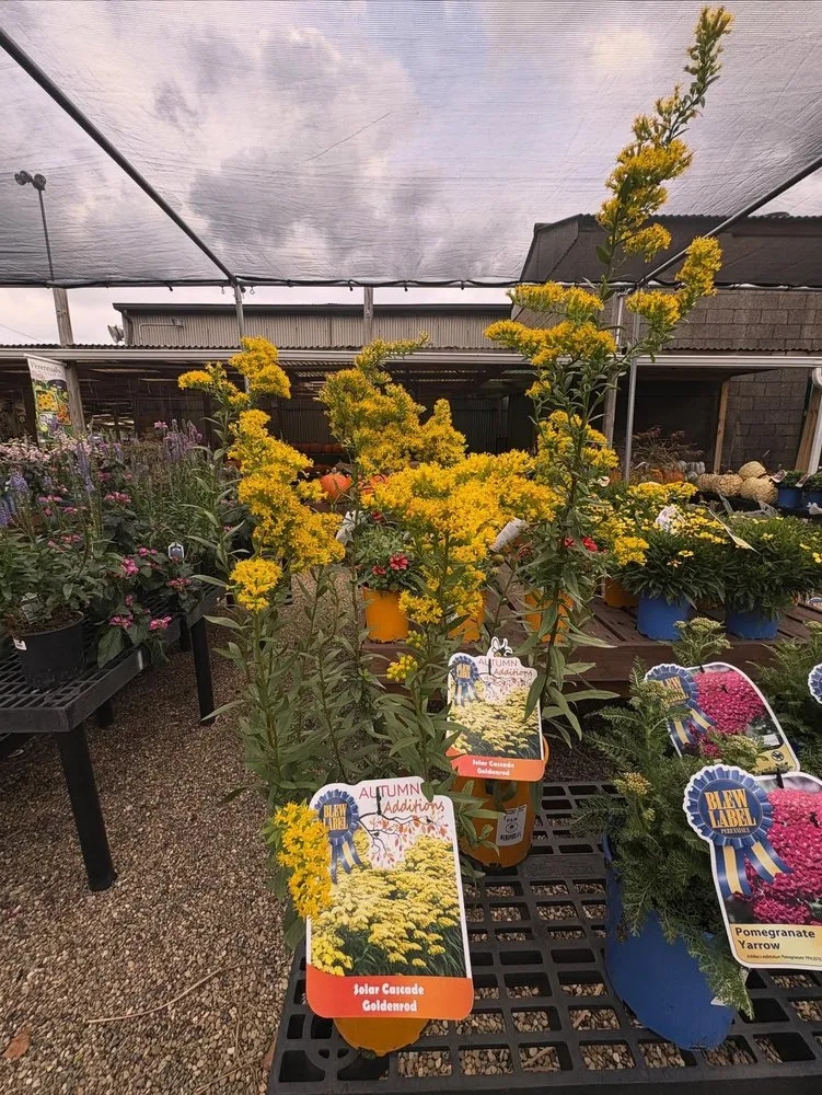 Custom yard cleanup service near you in Pittsburgh, PA by Cavacini Landscaping & Garden Center