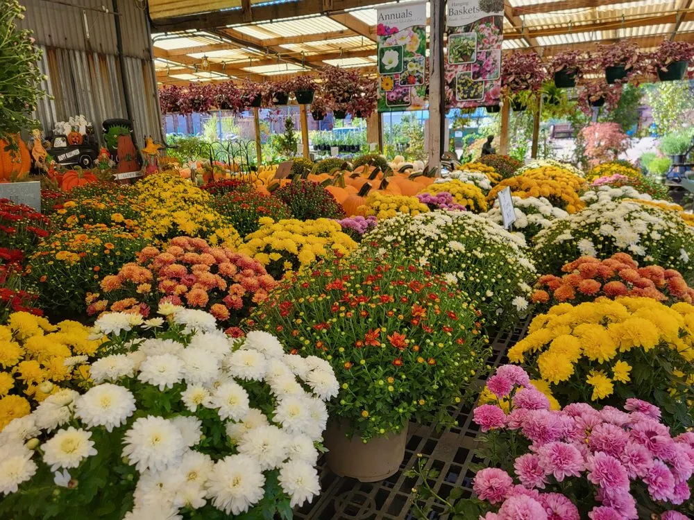 Local landscaping services for beautiful yards in Pittsburgh, PA by Cavacini Landscaping & Garden Center