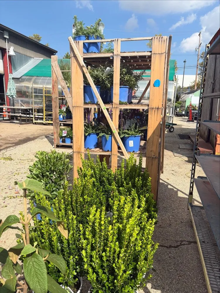 Expert lawn mowing service experts serving Pittsburgh, PA - Cavacini Landscaping & Garden Center