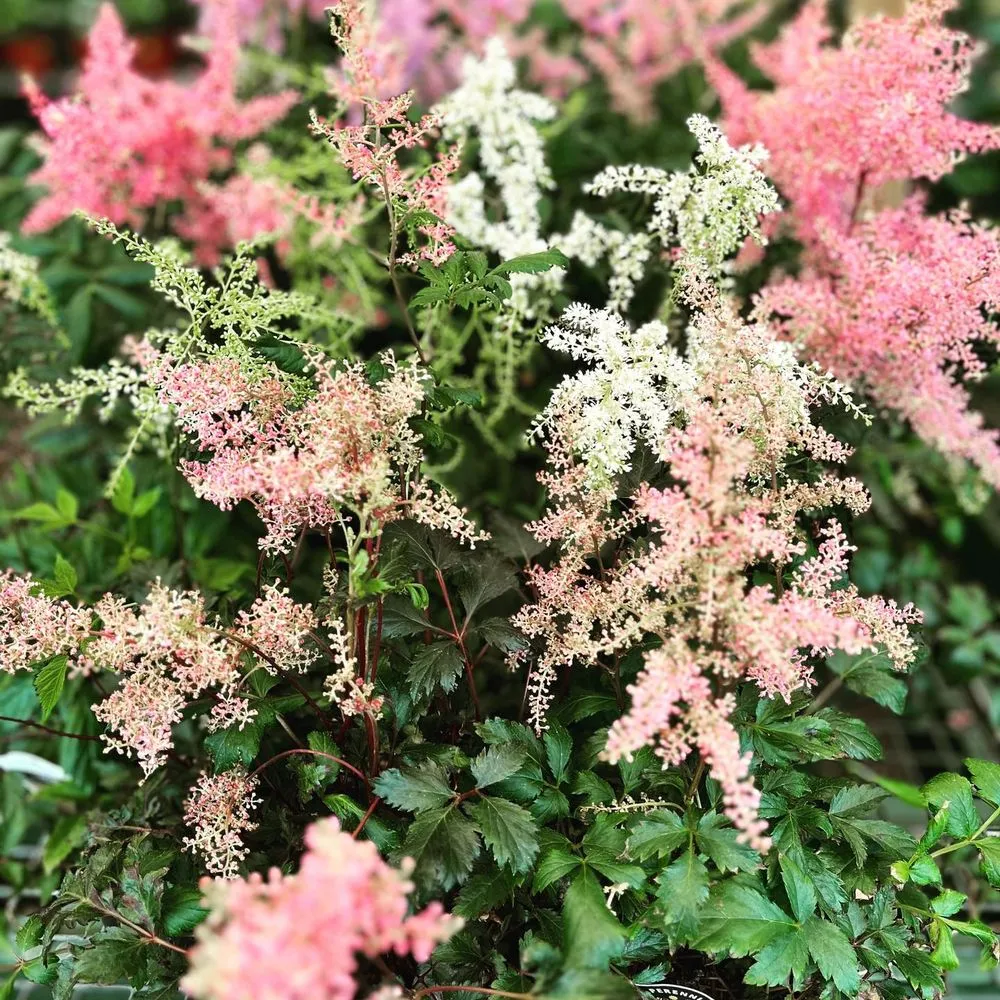 Trusted landscape installation in Pittsburgh, PA - Cavacini Landscaping & Garden Center