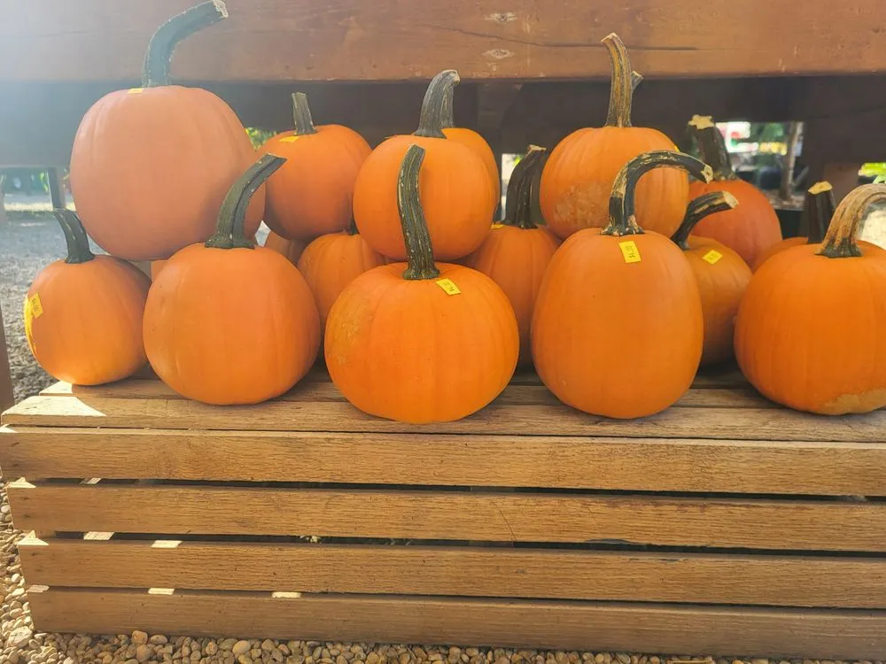 Trusted garden landscaping in Pittsburgh, PA - Cavacini Landscaping & Garden Center