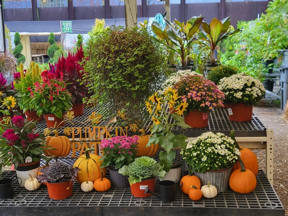 Affordable landscaping services in Pittsburgh, PA - Cavacini Landscaping & Garden Center