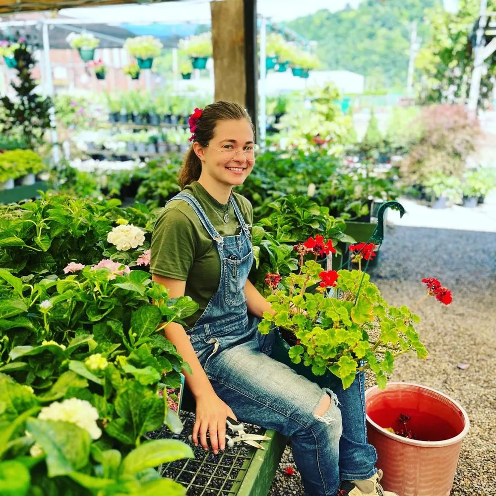 Local lawn care service for residential properties across Pittsburgh, PA - Cavacini Landscaping & Garden Center