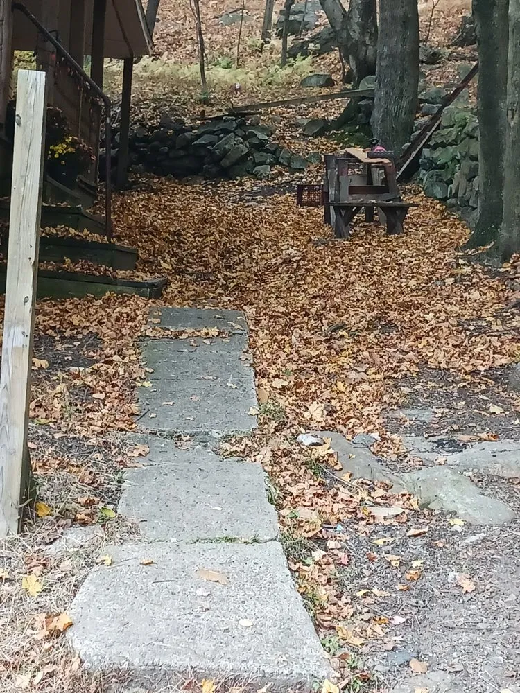 Professional landscape design for beautiful yards in Mahanoy City, PA by Cavalieri lawn care