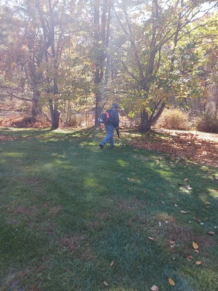 Reliable yard cleanup service experts serving Mahanoy City, PA - Cavalieri lawn care