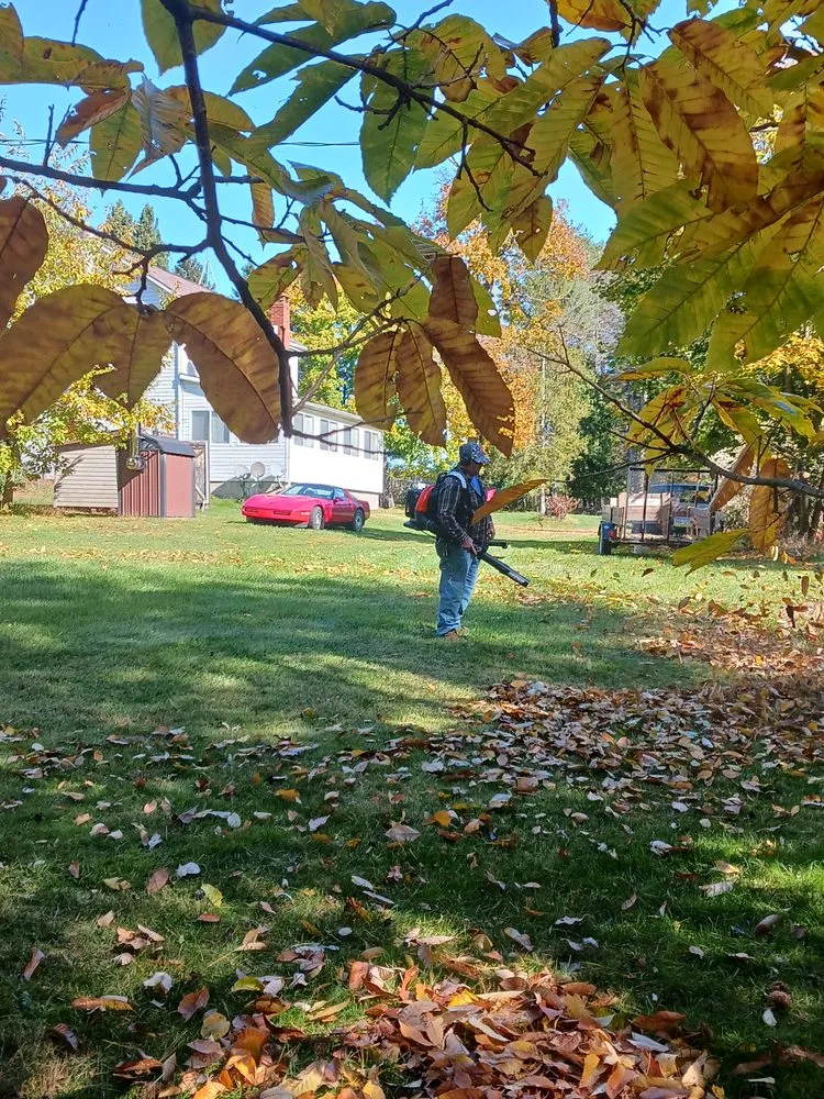 Custom landscaping services for year-round maintenance in Mahanoy City, PA by Cavalieri lawn care