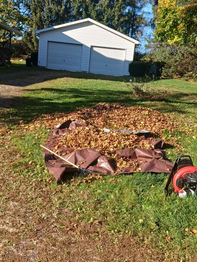 Custom landscaping services in Mahanoy City, PA - Cavalieri lawn care