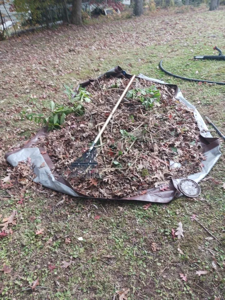 Custom yard cleanup service for year-round maintenance across Mahanoy City, PA - Cavalieri lawn care