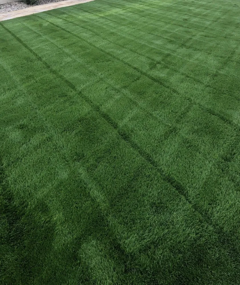 Top-rated lawn care service for year-round maintenance across Whitmore Lake, MI - Cavanaugh's Lawn Care and Outdoor Services