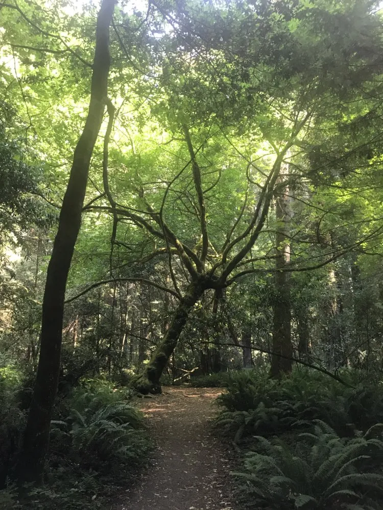 Local residential landscaping in Cincinnati, OH - Cavlec