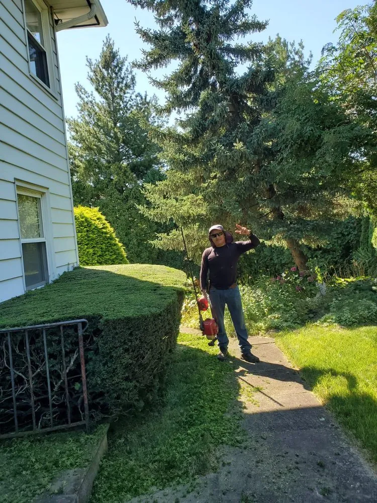 Reliable yard maintenance in Yonkers, NY by Cawboys Landscaping