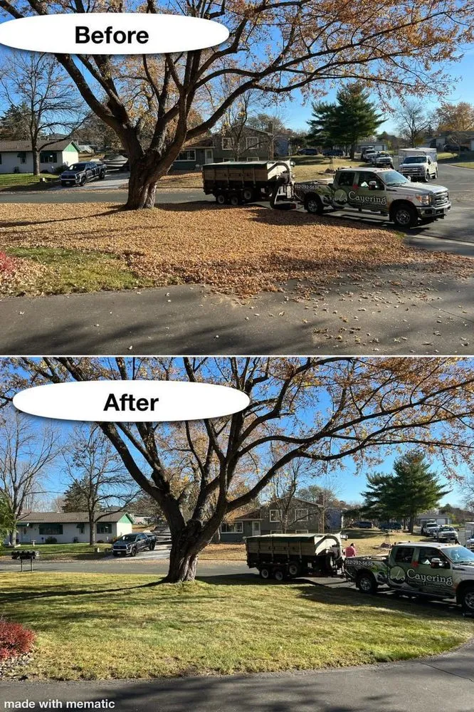 Top-rated landscape design in Lakeville, MN by Cayering Lawn, Snow & & Landscape Services