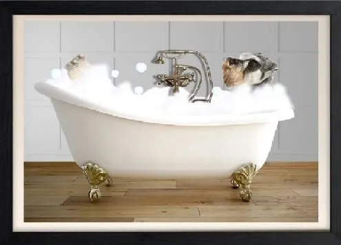 Affordable outdoor landscaping for homes in Mission, TX by Cayetana Lawn and Pet Care