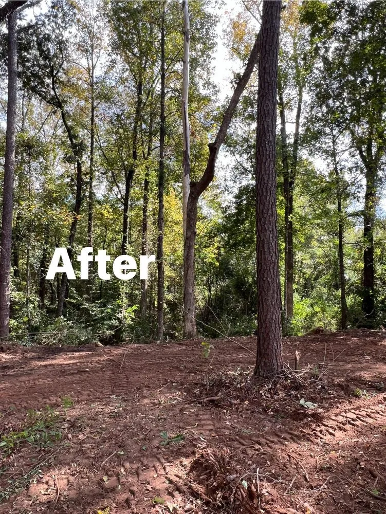 Expert residential landscaping for residential properties across Deatsville, AL - Caylor Enterprise