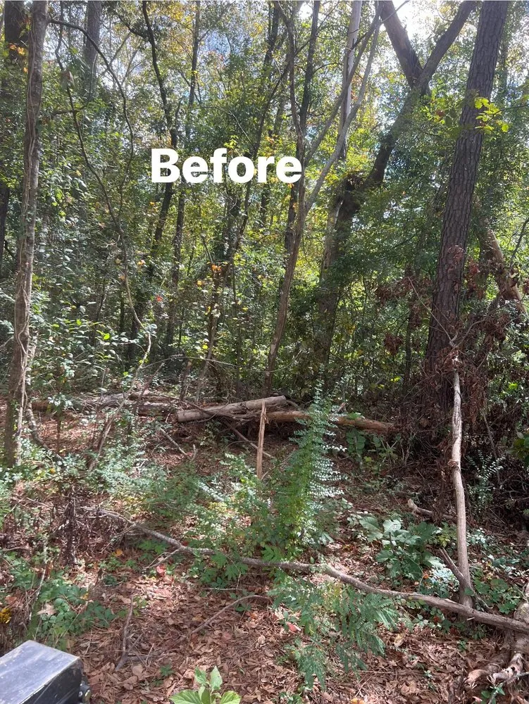 Affordable yard maintenance experts serving Deatsville, AL - Caylor Enterprise