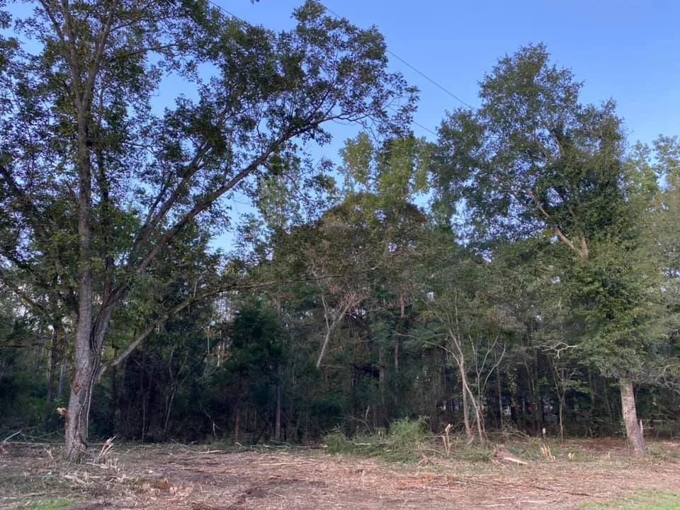 Top-rated garden landscaping in Deatsville, AL by Caylor Enterprise