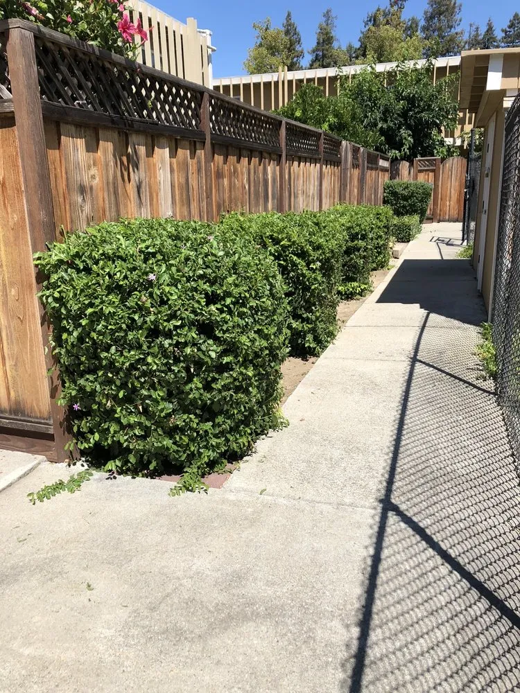 Top-rated outdoor landscaping for outdoor upgrades across San Jose, CA - Caytime Landscaping