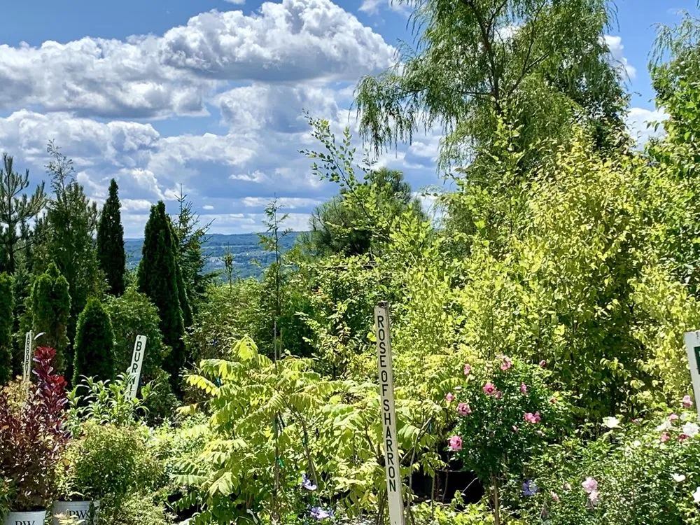 Affordable residential landscaping experts serving Ithaca, NY - Cayuga Landscape