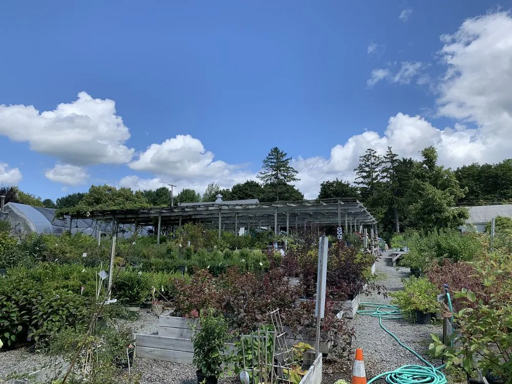 Trusted lawn mowing service with custom design in Ithaca, NY by Cayuga Landscape