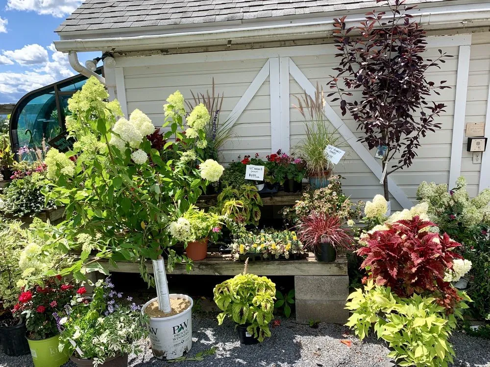 Top-rated garden landscaping experts serving Ithaca, NY - Cayuga Landscape