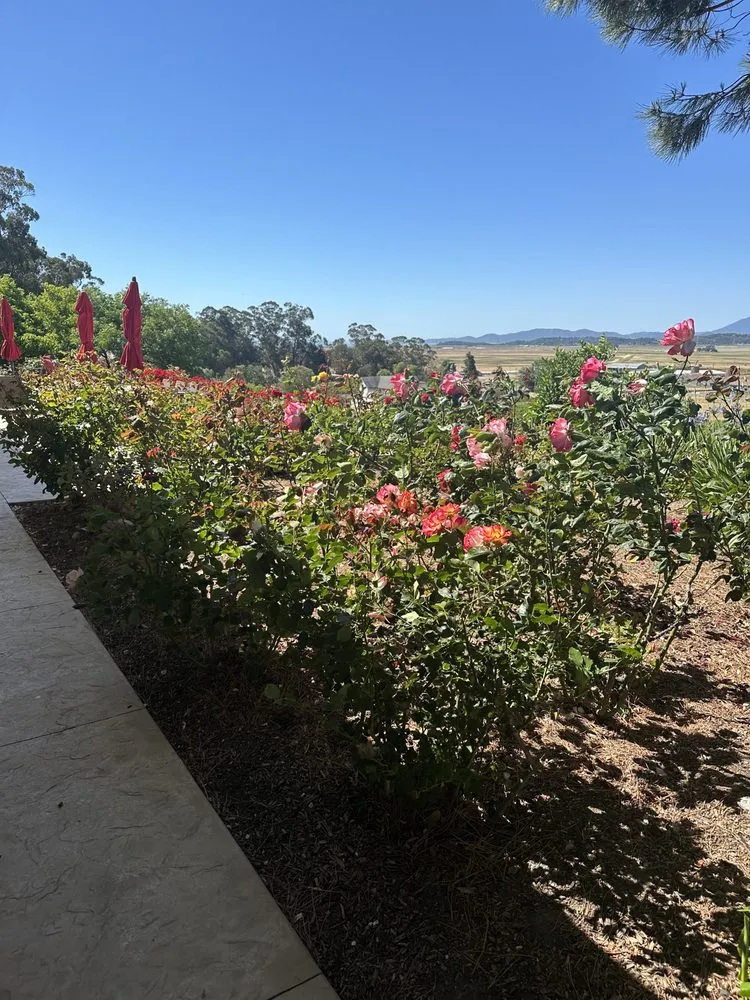 Affordable lawn care service for residential properties in Alameda, CA by Cazares landscaping