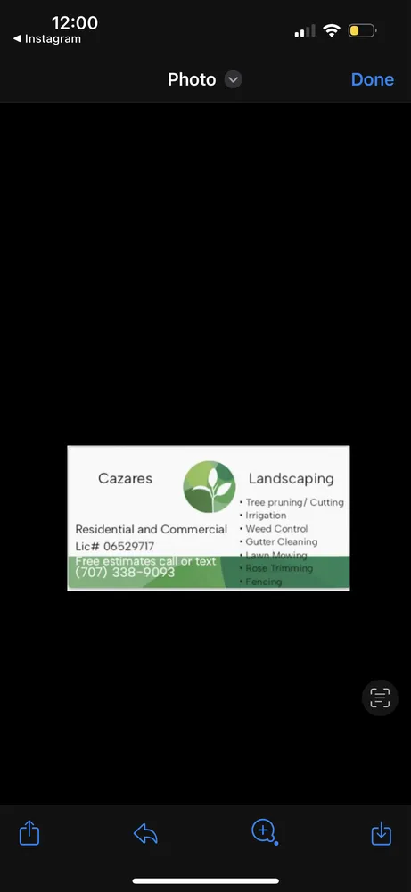 Top-rated yard cleanup service for residential properties in Alameda, CA by Cazares landscaping