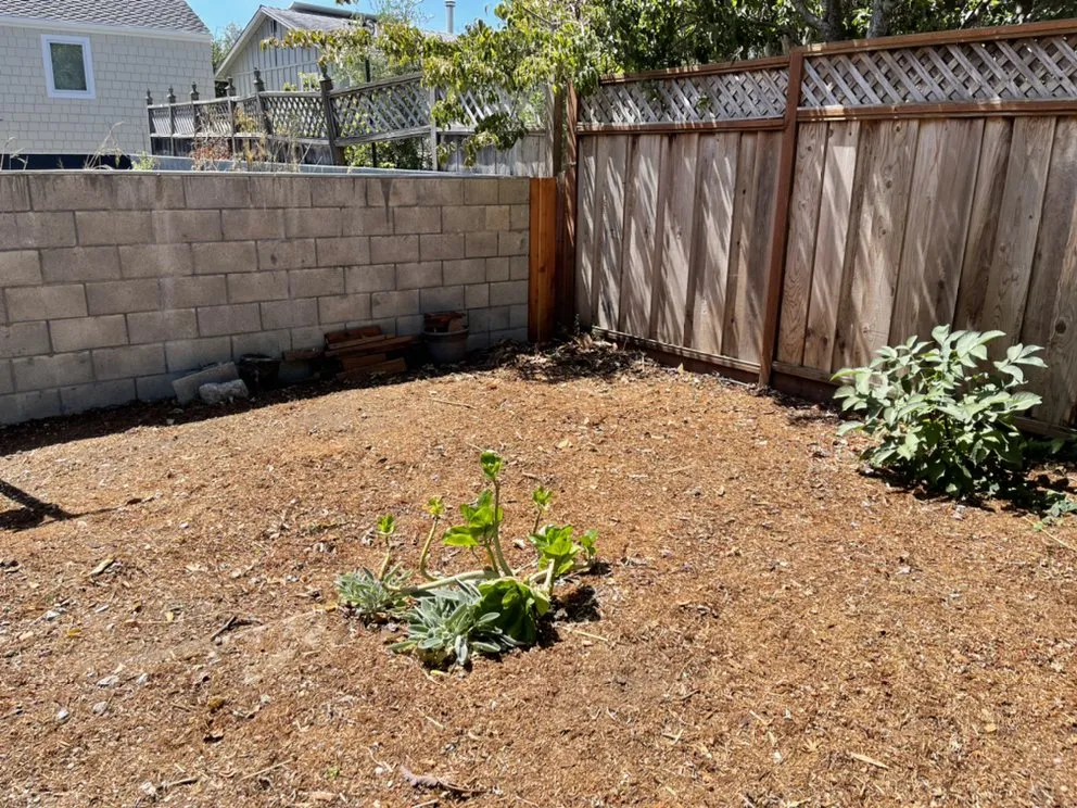 Trusted yard cleanup service in Santa Cruz, CA - Cazares Landscaping