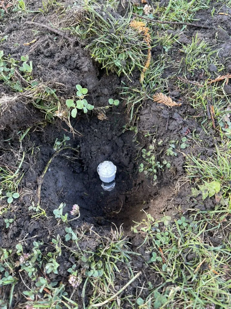 Professional landscape installation for homes in Santa Cruz, CA by Cazares Landscaping