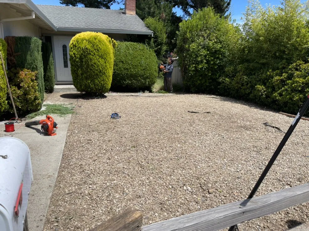 Reliable lawn care service in Santa Cruz, CA by Cazares Landscaping