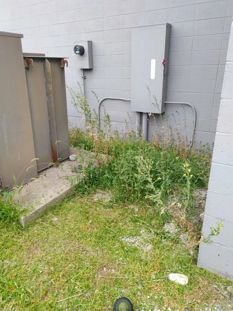 Trusted landscape design experts serving Logan, UT - Cazares Lawn Care