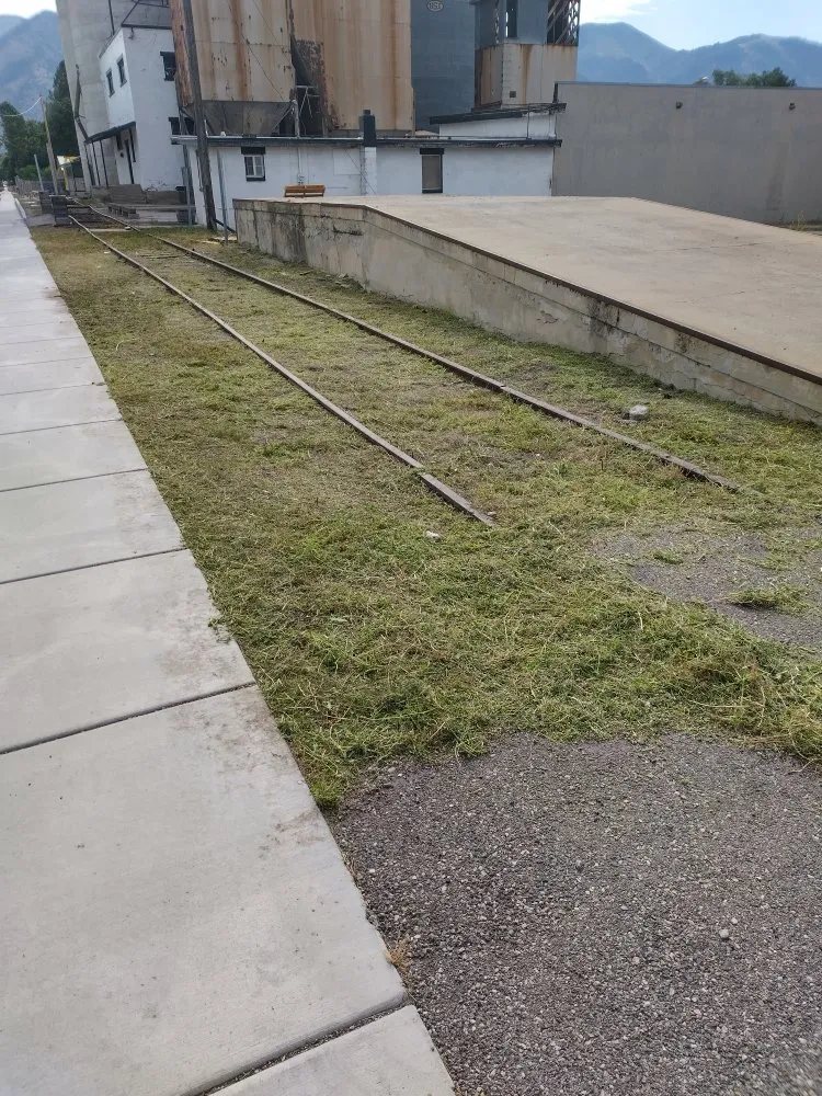 Trusted yard cleanup service for year-round maintenance across Logan, UT - Cazares Lawn Care