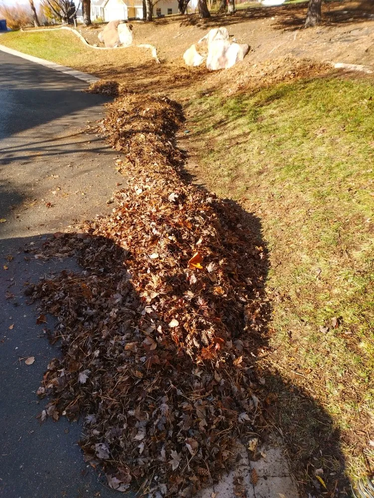 Top-rated landscape installation in Logan, UT - Cazares Lawn Care