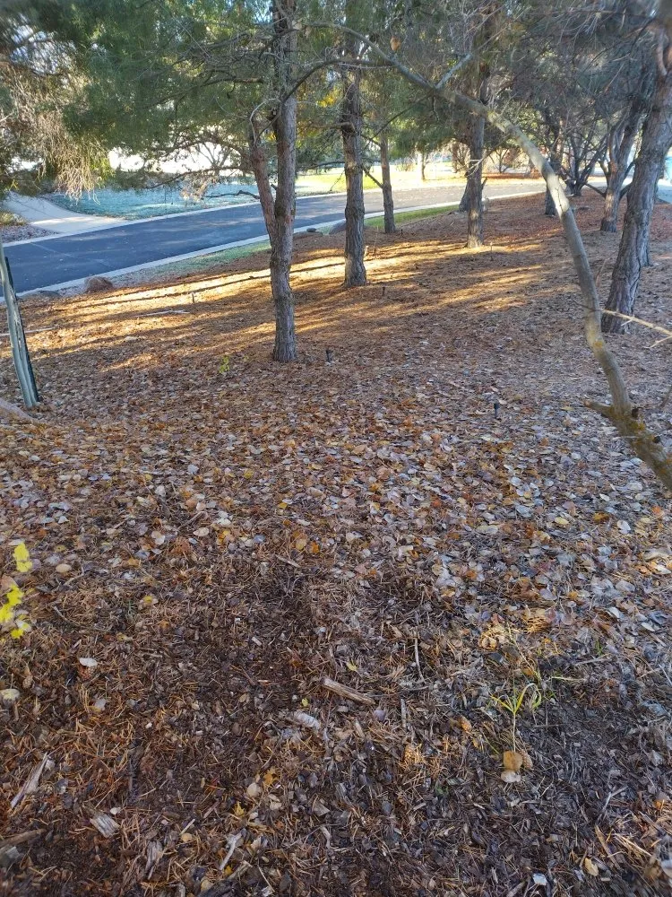 Local landscape design in Logan, UT by Cazares Lawn Care