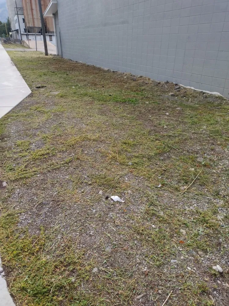 Professional yard maintenance experts serving Logan, UT - Cazares Lawn Care