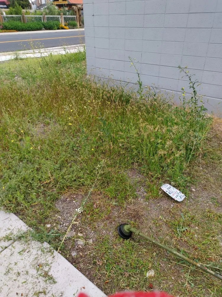 Professional landscaping services in Logan, UT - Cazares Lawn Care