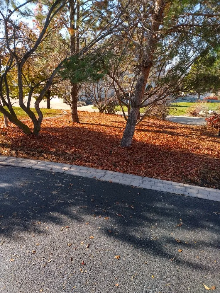 Affordable yard maintenance in Logan, UT - Cazares Lawn Care